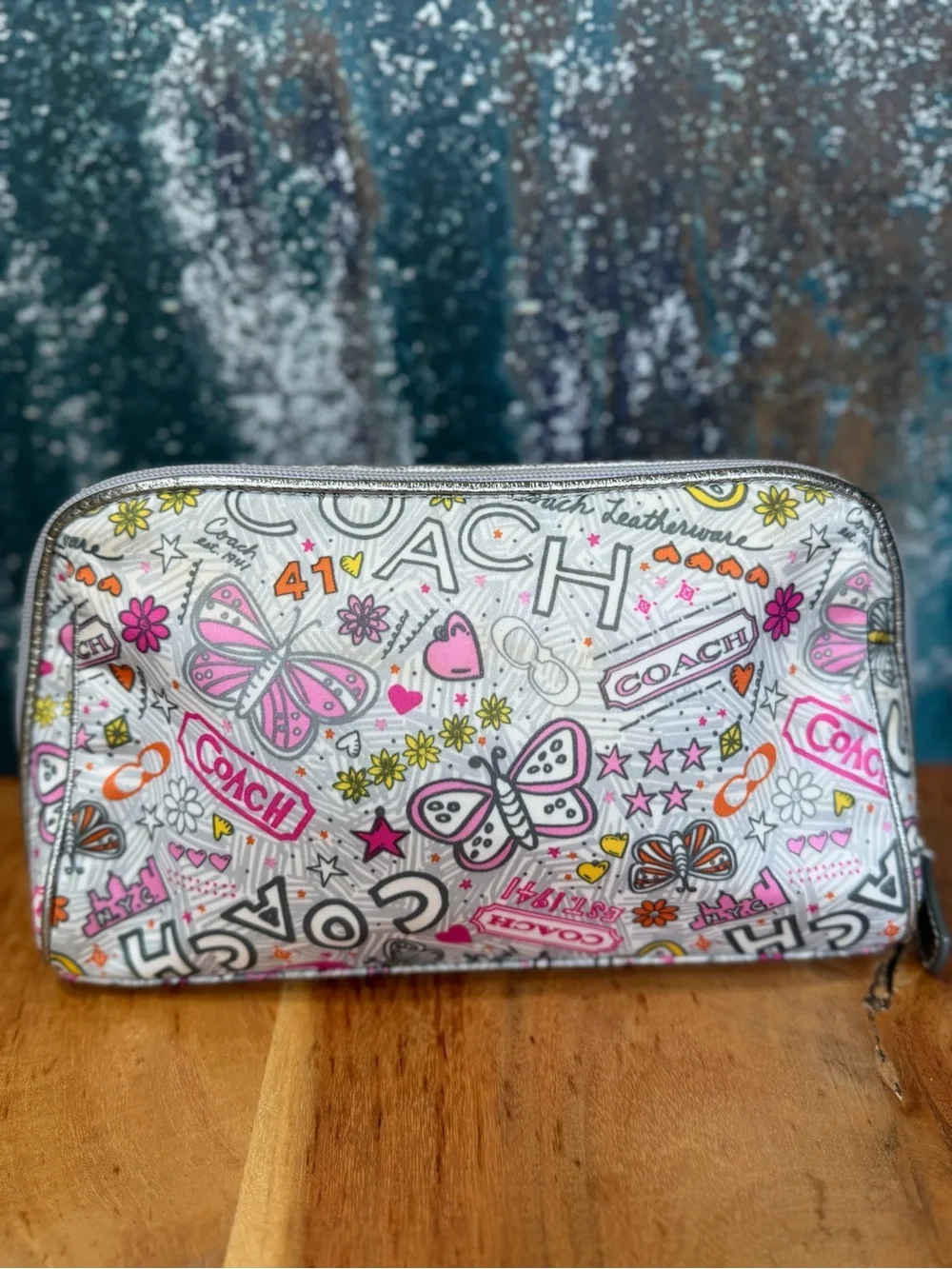 Coach Y2K 2010 Rare Highly Collectible Poppy Graffiti Butterfly Cosmetic Case